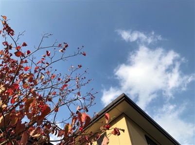 秋晴れの広島の空