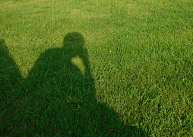 草場に座って考え事をする男性の影