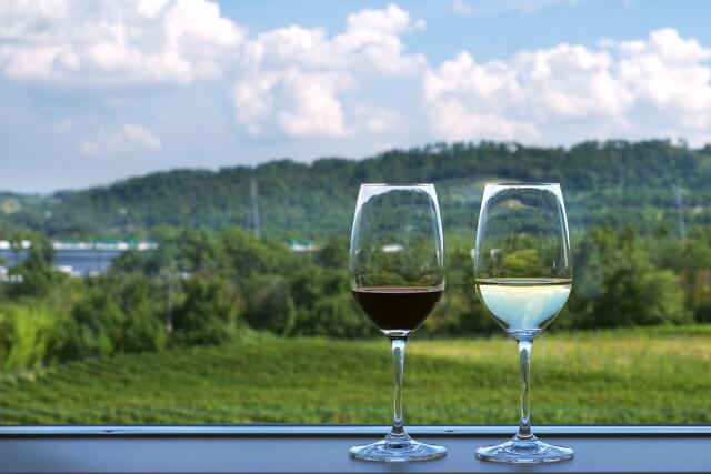 緑の山を背景に並ぶ赤ワインと白ワインが注がれた二つのワイングラス